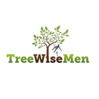 Tree Wise Men image 1